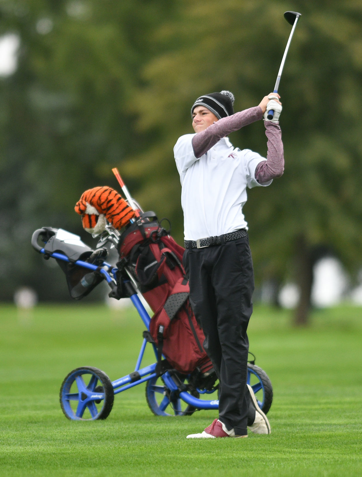 Class 1A Orion Regional Boys Golf